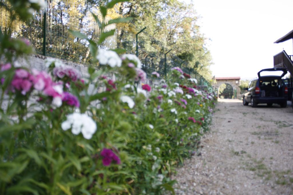 Apartamentos Turisticos Las Carballedas Rabanal del Camino Zewnętrze zdjęcie